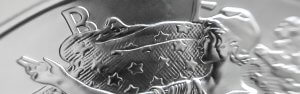 silver bullion coin details