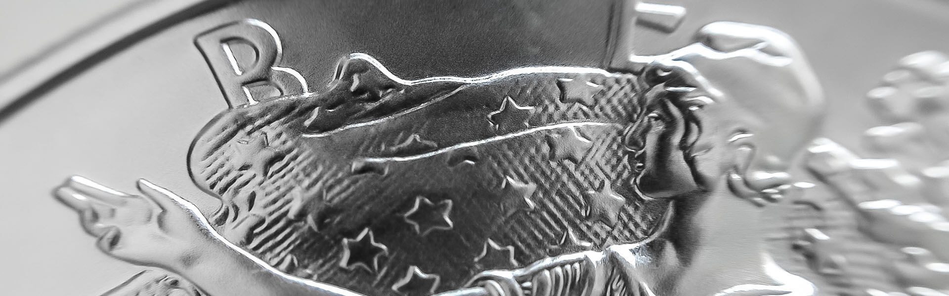 silver bullion coin details